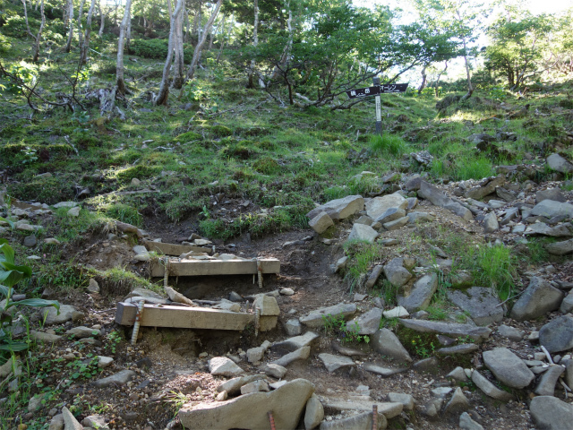 八ヶ岳・横岳（桜平～硫黄岳～奥ノ院） 登山口コースガイド【登山口ナビ】