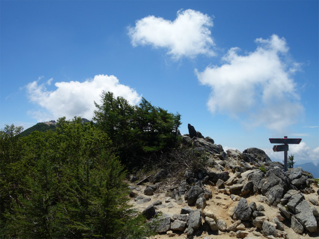 鳳凰三山（広河原～白鳳峠・高嶺）登山口コースガイド 赤抜沢ノ頭分岐【登山口ナビ】