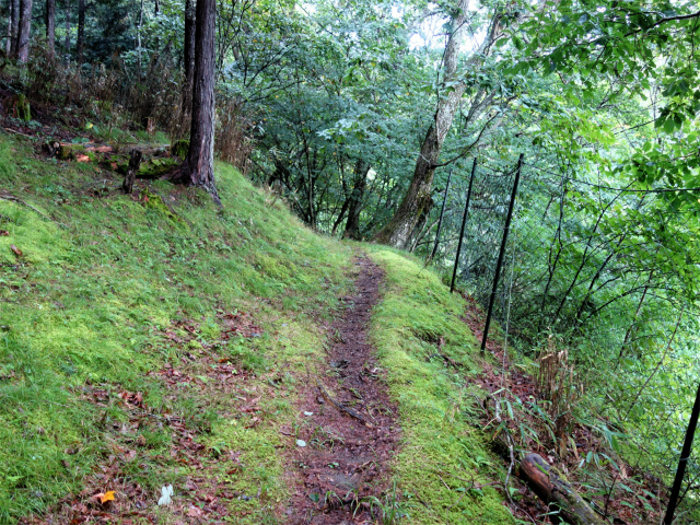 笠取山～唐松尾山～御殿岩 登山口コースガイド トラバース【登山口ナビ】