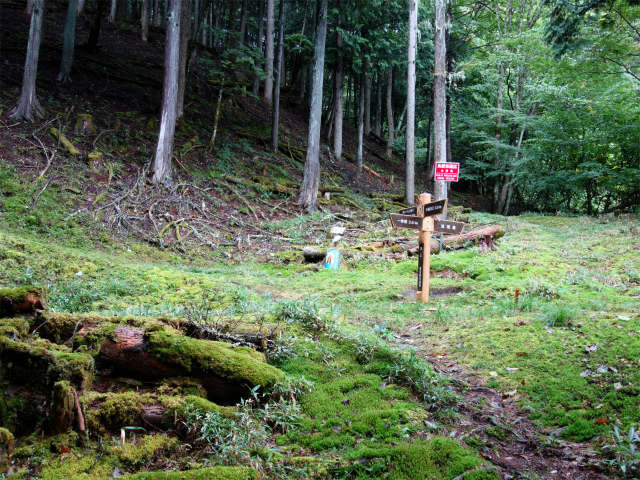 笠取山～唐松尾山～御殿岩 登山口コースガイド 馬止分岐【登山口ナビ】