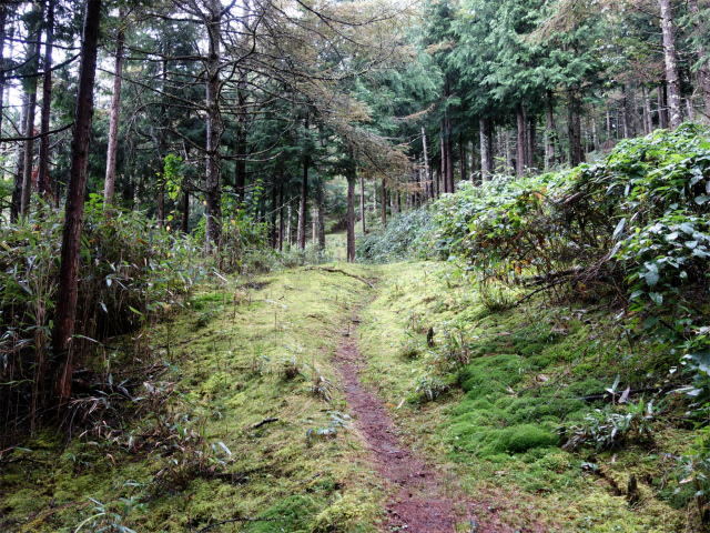 笠取山～唐松尾山～御殿岩 登山口コースガイド【登山口ナビ】