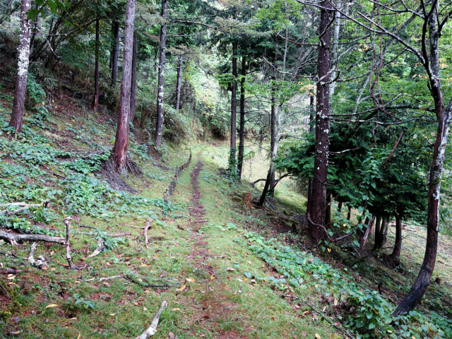 笠取山～唐松尾山～御殿岩 登山口コースガイド【登山口ナビ】