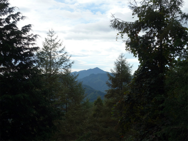笠取山～唐松尾山～御殿岩 登山口コースガイド 大菩薩嶺【登山口ナビ】