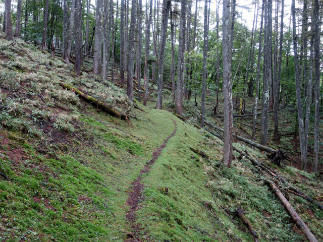 笠取山～唐松尾山～御殿岩 登山口コースガイド【登山口ナビ】