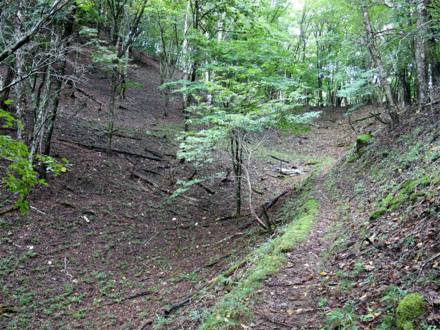 笠取山～唐松尾山～御殿岩 登山口コースガイド 沢筋【登山口ナビ】