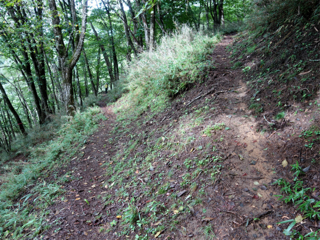笠取山～唐松尾山～御殿岩 登山口コースガイド 折り返し【登山口ナビ】