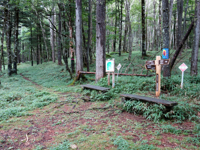 笠取山～唐松尾山～御殿岩 登山口コースガイド 黒槐尾根分岐点【登山口ナビ】