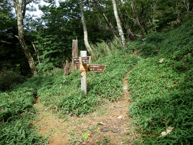 笠取山～唐松尾山～御殿岩 登山口コースガイド 笠取小屋分岐【登山口ナビ】