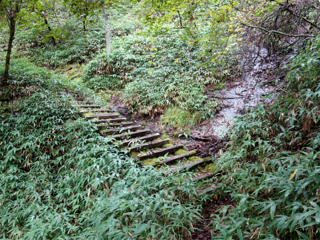 笠取山～唐松尾山～御殿岩 登山口コースガイド 木橋【登山口ナビ】