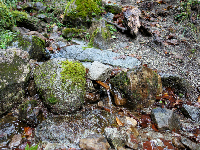 笠取山～唐松尾山～御殿岩 登山口コースガイド 水場【登山口ナビ】