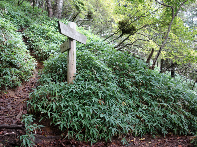笠取山～唐松尾山～御殿岩 登山口コースガイド 山頂分岐【登山口ナビ】