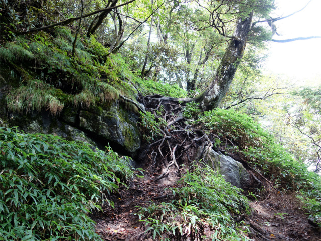 笠取山～唐松尾山～御殿岩 登山口コースガイド 急斜面【登山口ナビ】