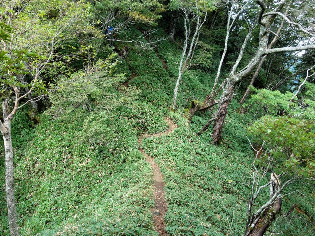 笠取山～唐松尾山～御殿岩 登山口コースガイド 小ピーク鞍部【登山口ナビ】