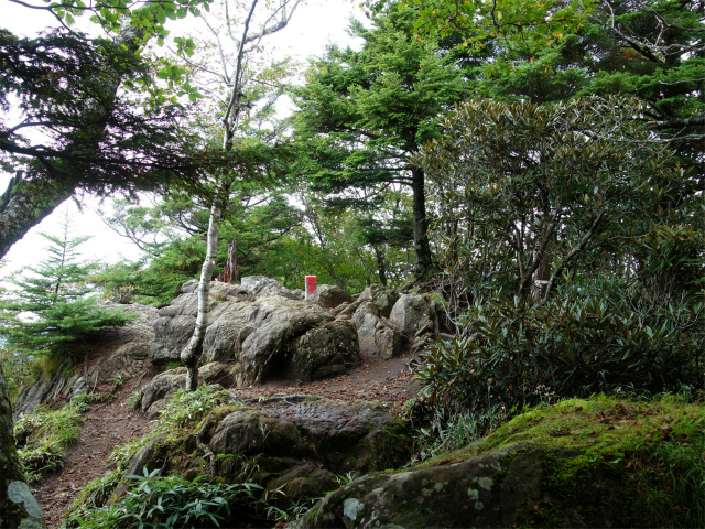 笠取山～唐松尾山～御殿岩 登山口コースガイド 笠取山山頂【登山口ナビ】