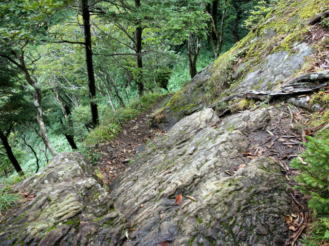 笠取山～唐松尾山～御殿岩 登山口コースガイド 笠取山山頂直下の露岩急斜面【登山口ナビ】