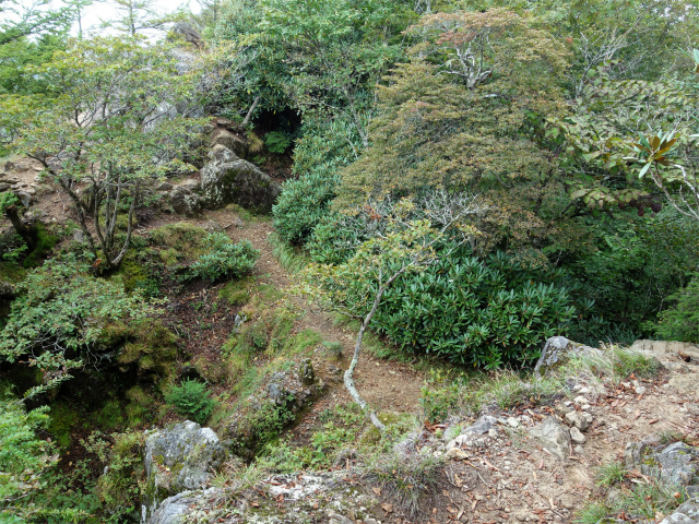 笠取山～唐松尾山～御殿岩 登山口コースガイド 小ピーク【登山口ナビ】