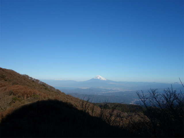 天城山（万二郎岳～万三郎岳周回）登山口コースガイド 万二郎岳山頂からの富士山【登山口ナビ】