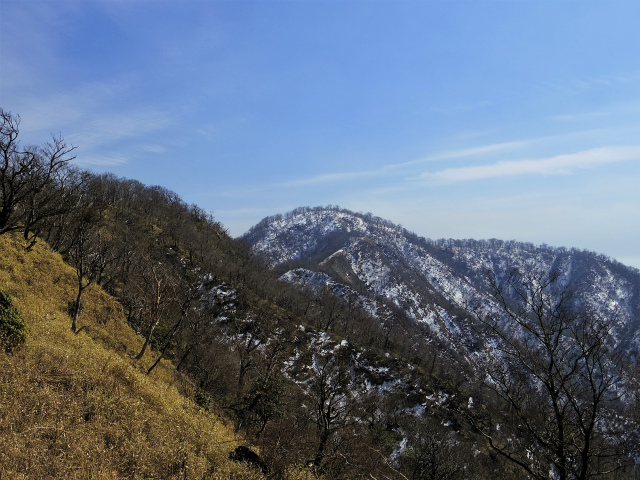 檜洞丸（日陰沢～犬越路コース） 登山口コースガイド 大笄の稜線からの檜洞丸【登山口ナビ】