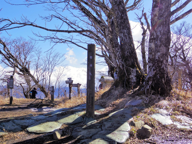 檜洞丸（日陰沢～犬越路コース） 登山口コースガイド 山頂【登山口ナビ】