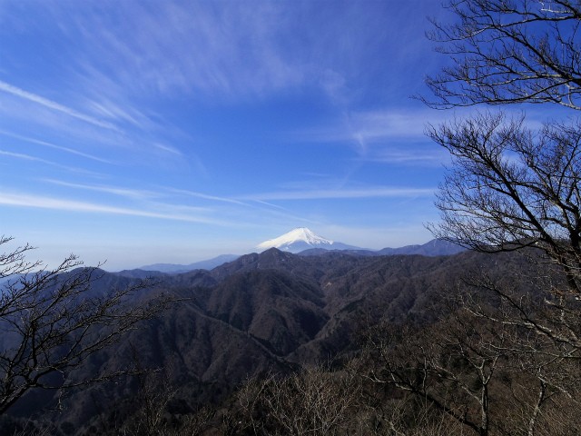 大室山（日陰沢橋～犬越路コース） 登山口コースガイド 富士山の眺望【登山口ナビ】