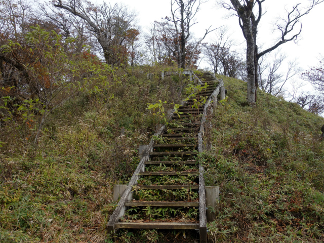 檜洞丸（日陰沢～犬越路コース） 登山口コースガイド 階段【登山口ナビ】