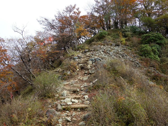 檜洞丸（日陰沢～犬越路コース） 登山口コースガイド 大笄の稜線【登山口ナビ】