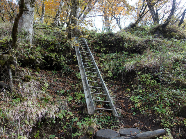 檜洞丸（日陰沢～犬越路コース） 登山口コースガイド 大笄の鉄梯子 【登山口ナビ】