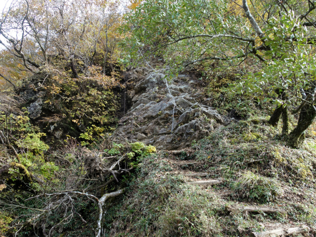 檜洞丸（日陰沢～犬越路コース） 登山口コースガイド 大笄の鎖場 【登山口ナビ】