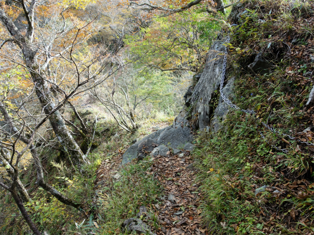 檜洞丸（日陰沢～犬越路コース） 登山口コースガイド 小笄と大笄の鞍部 【登山口ナビ】