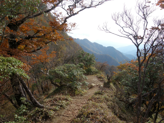 檜洞丸（日陰沢～犬越路コース） 登山口コースガイド 痩せ尾根 【登山口ナビ】