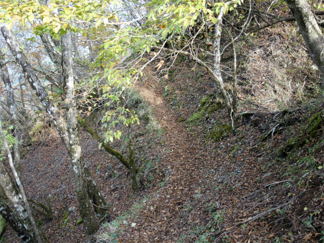 檜洞丸（日陰沢～犬越路コース） 登山口コースガイド 【登山口ナビ】
