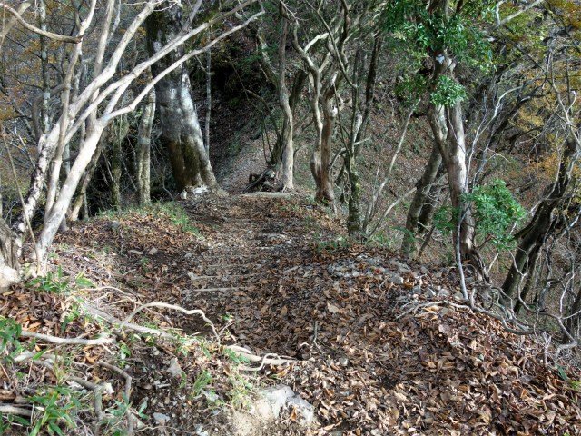 檜洞丸（日陰沢～犬越路コース） 登山口コースガイド 小笄鞍部 【登山口ナビ】