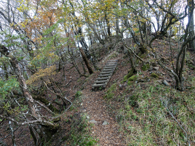 檜洞丸（日陰沢～犬越路コース） 登山口コースガイド 階段 【登山口ナビ】