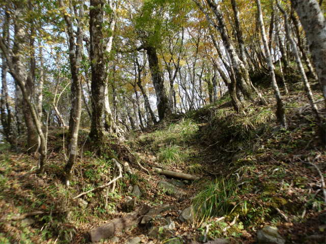 檜洞丸（日陰沢～犬越路コース） 登山口コースガイド アップダウン 【登山口ナビ】