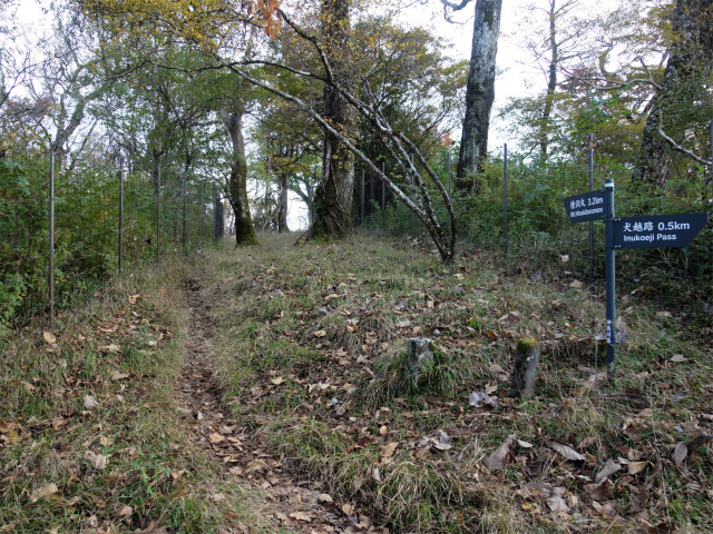 檜洞丸（日陰沢～犬越路コース） 登山口コースガイド 植生保護柵 【登山口ナビ】