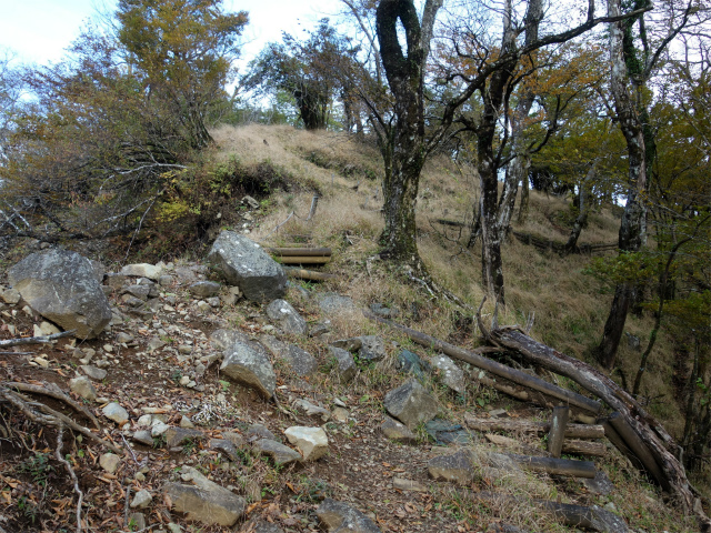 檜洞丸（日陰沢～犬越路コース） 登山口コースガイド 崩落地【登山口ナビ】