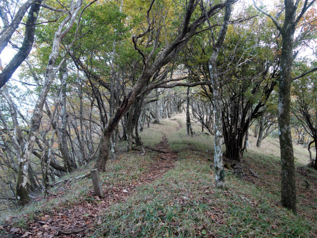 檜洞丸（日陰沢～犬越路コース） 登山口コースガイド【登山口ナビ】