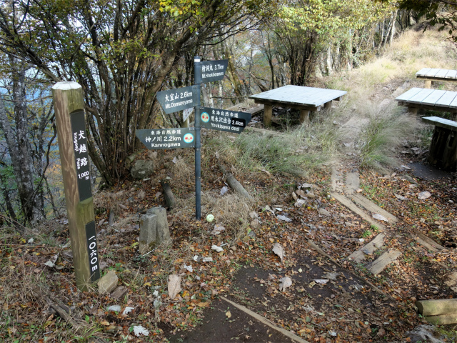 檜洞丸（日陰沢～犬越路コース） 登山口コースガイド 犬越路峠【登山口ナビ】