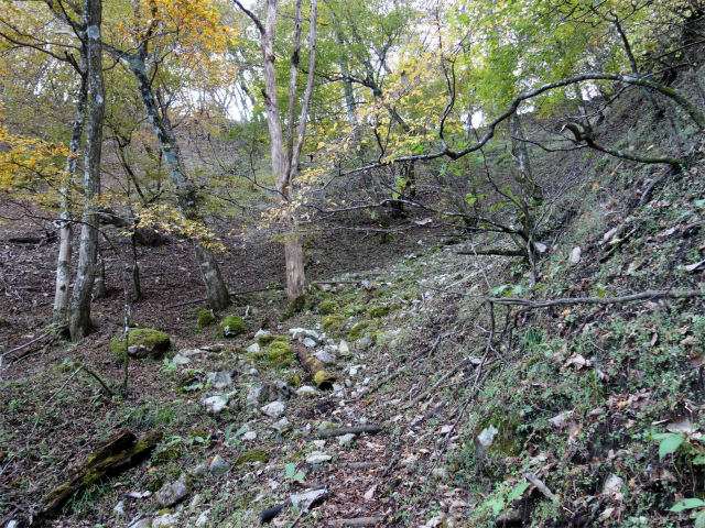 大室山（日陰沢橋～犬越路コース） 登山口コースガイド 峠の避難小屋【登山口ナビ】