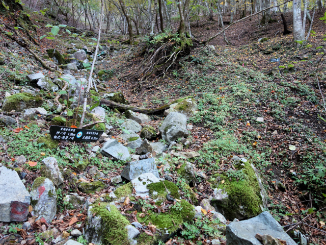 大室山（日陰沢橋～犬越路コース） 登山口コースガイド ガレ沢【登山口ナビ】