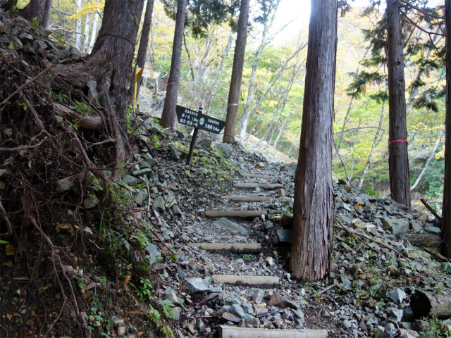 大室山（日陰沢橋～犬越路コース） 登山口コースガイド【登山口ナビ】