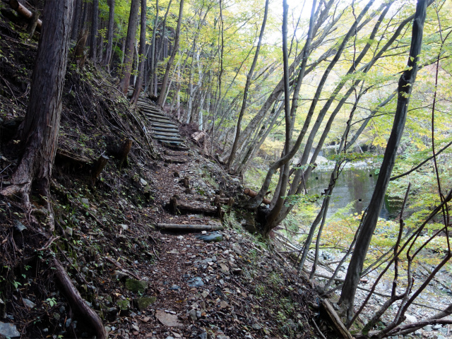 大室山（日陰沢橋～犬越路コース） 登山口コースガイド 高巻き【登山口ナビ】