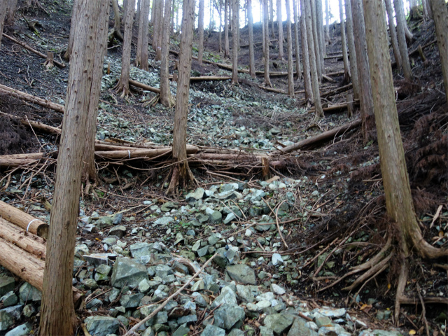 大室山（日陰沢橋～犬越路コース） 登山口コースガイド 急登【登山口ナビ】