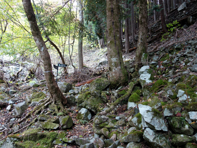大室山（日陰沢橋～犬越路コース） 登山口コースガイド【登山口ナビ】