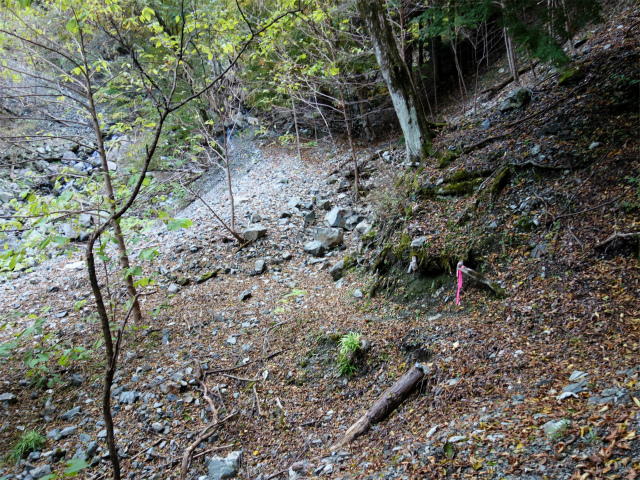 大室山（日陰沢橋～犬越路コース） 登山口コースガイド【登山口ナビ】