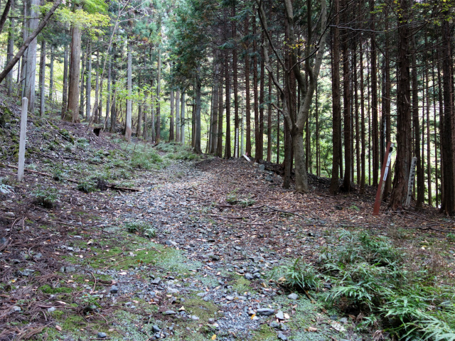 大室山（日陰沢橋～犬越路コース） 登山口コースガイド 作業道終点広場【登山口ナビ】