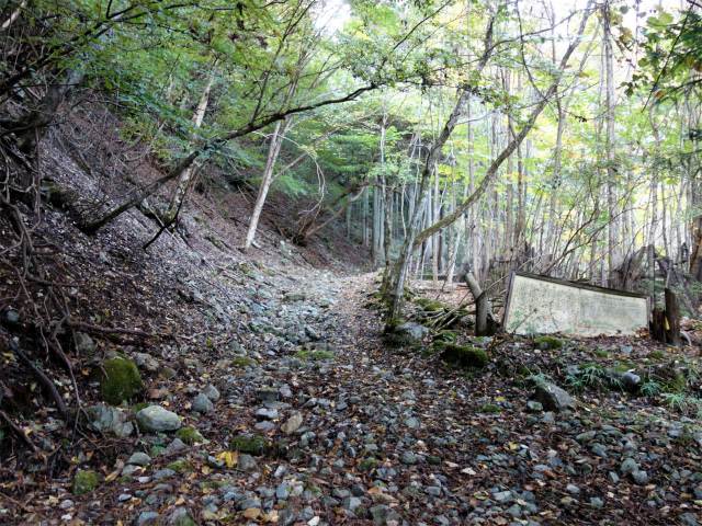 大室山（日陰沢橋～犬越路コース） 登山口コースガイド 作業道【登山口ナビ】