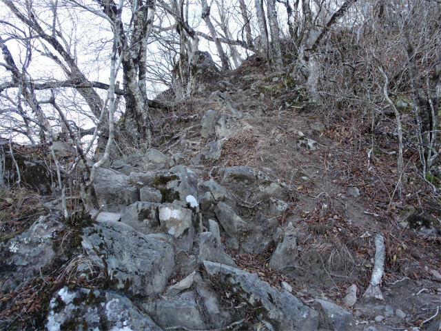茅ヶ岳（深田記念公園～女岩コース） 登山口コースガイド 金ヶ岳方面の急坂【登山口ナビ】