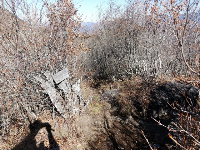 茅ヶ岳（深田記念公園～女岩コース） 登山口コースガイド 金ヶ岳方面【登山口ナビ】