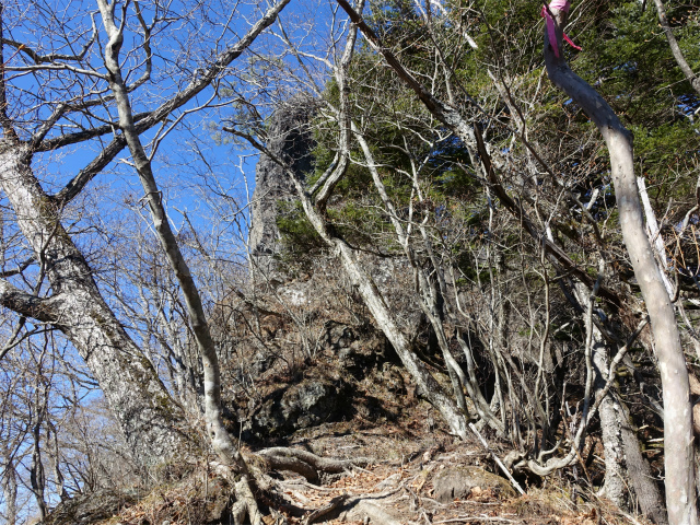 茅ヶ岳（深田記念公園～女岩コース） 登山口コースガイド 岩峰【登山口ナビ】